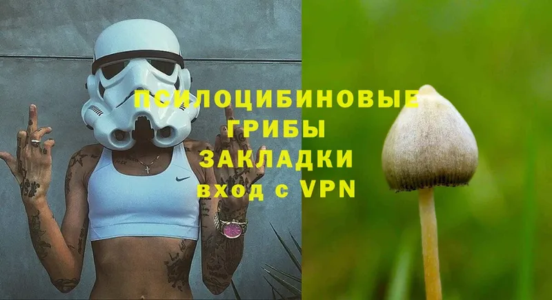 Псилоцибиновые грибы Magic Shrooms  Касли 